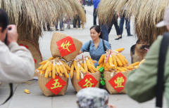 和美荆楚，乐享丰收 | 荆楚粮油庆丰收惠民美食节来了！