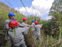 积极清理线下树障 确保双节用电无忧